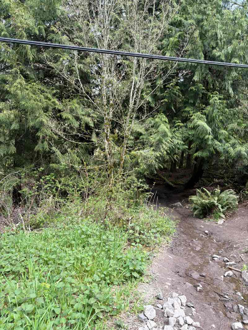 walking near me in Tradition Plateau Natural Resource Conservation Area in spring