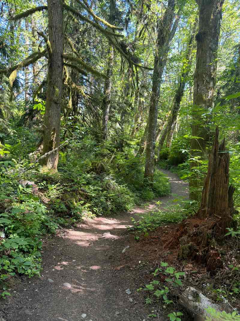 walking near me in Cougar/Squak Corridor in summer