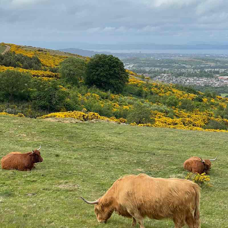 Dinesh Kumar Sridharan post 1