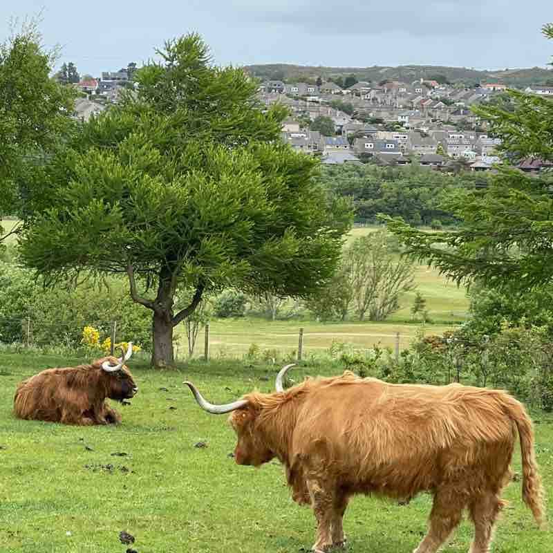 Dinesh Kumar Sridharan post 1