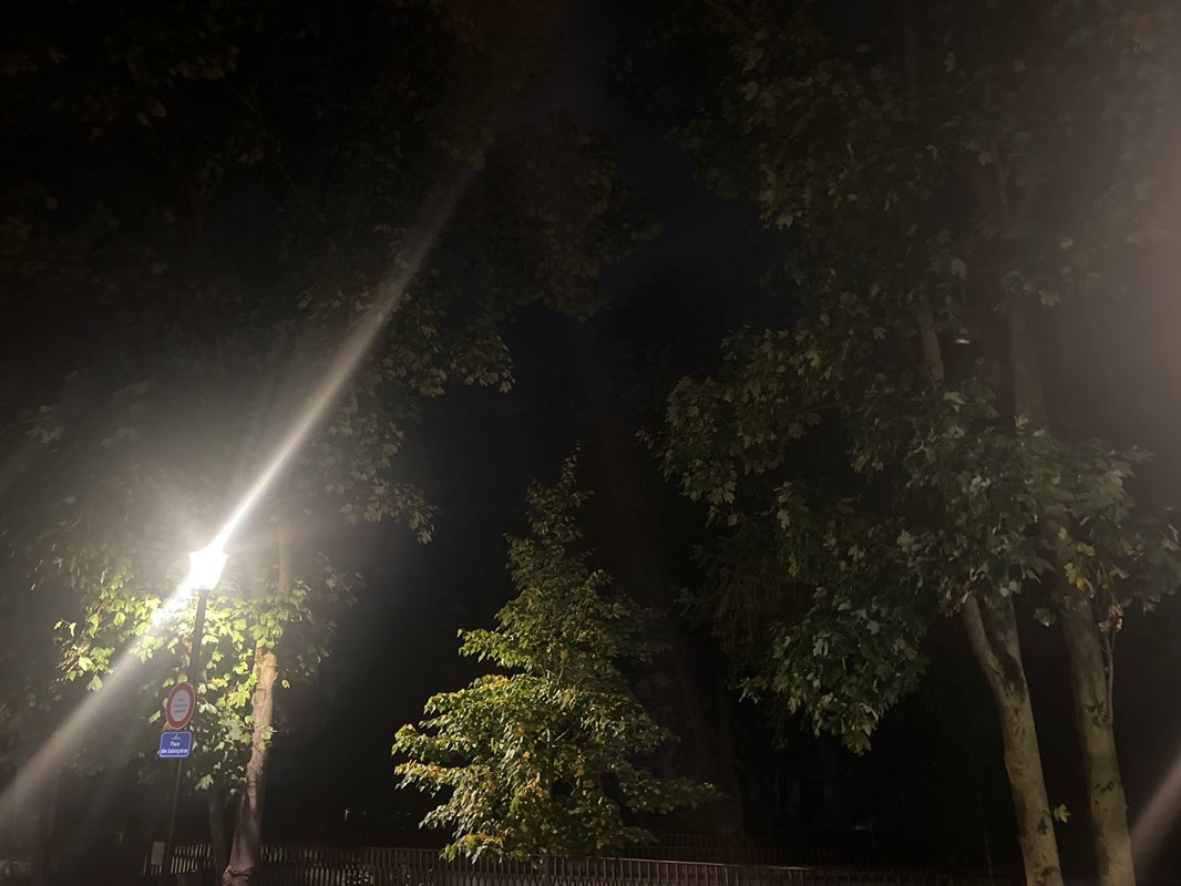 walking near me in Jardin des Avelines in autumn