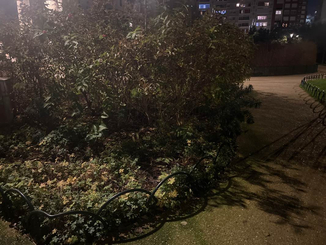 walking near me in Jardin de la Folie in autumn