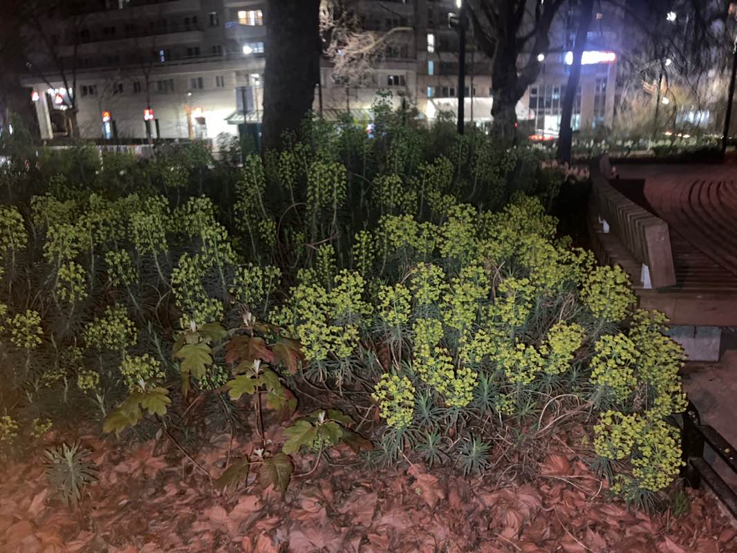 walking near me in Parc de Freudenstadt in spring