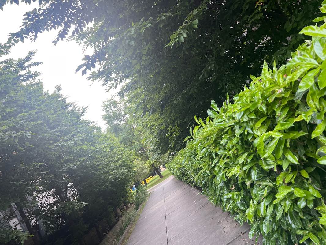 walking near me in Parc Marguerite Yourcenar in spring