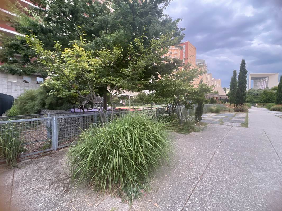 walking near me in Parc Nelson Mandela in summer