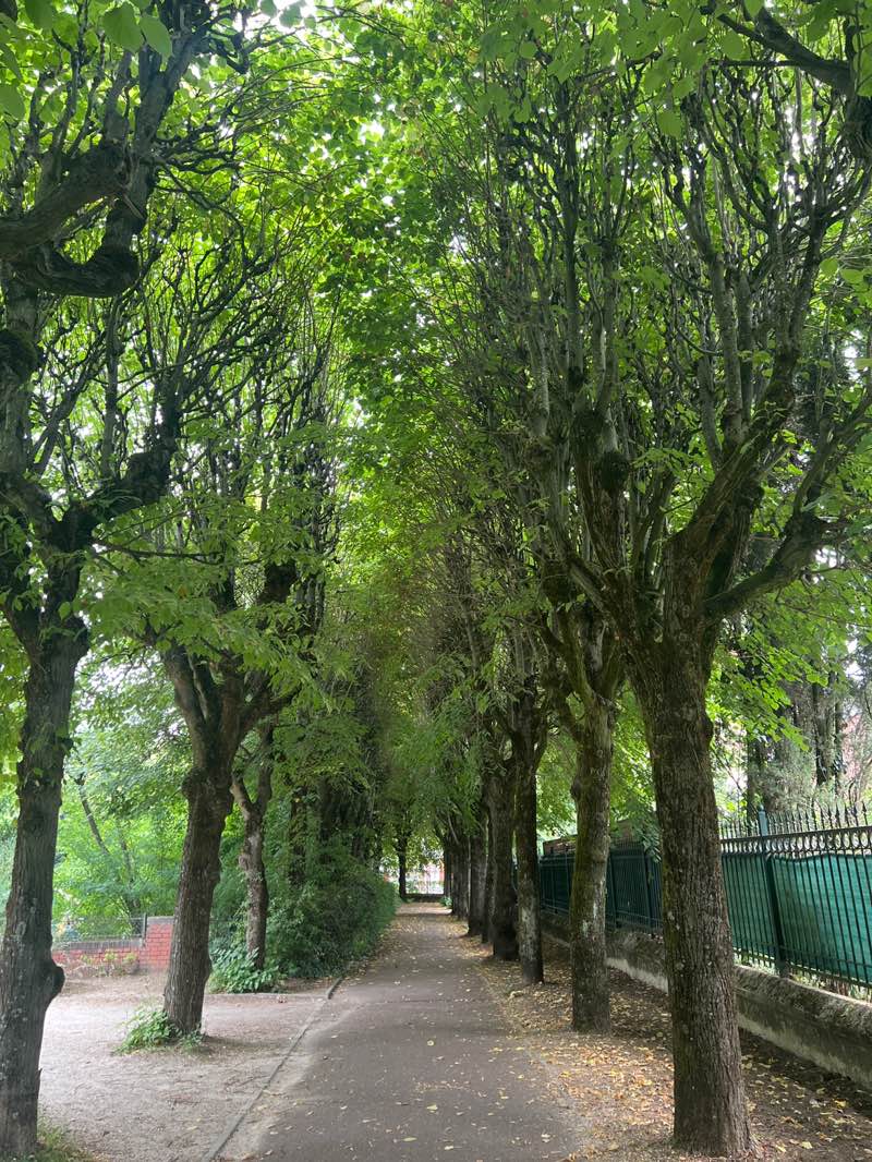 walking near me in Square Léon Bourgeois in summer