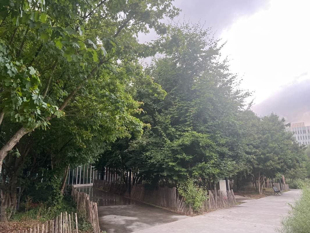 walking near me in Parc Le Temps des Cerises in autumn