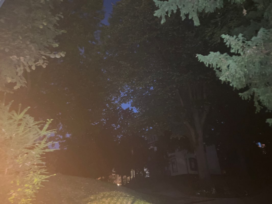 walking near me in Parc Offenbach in summer