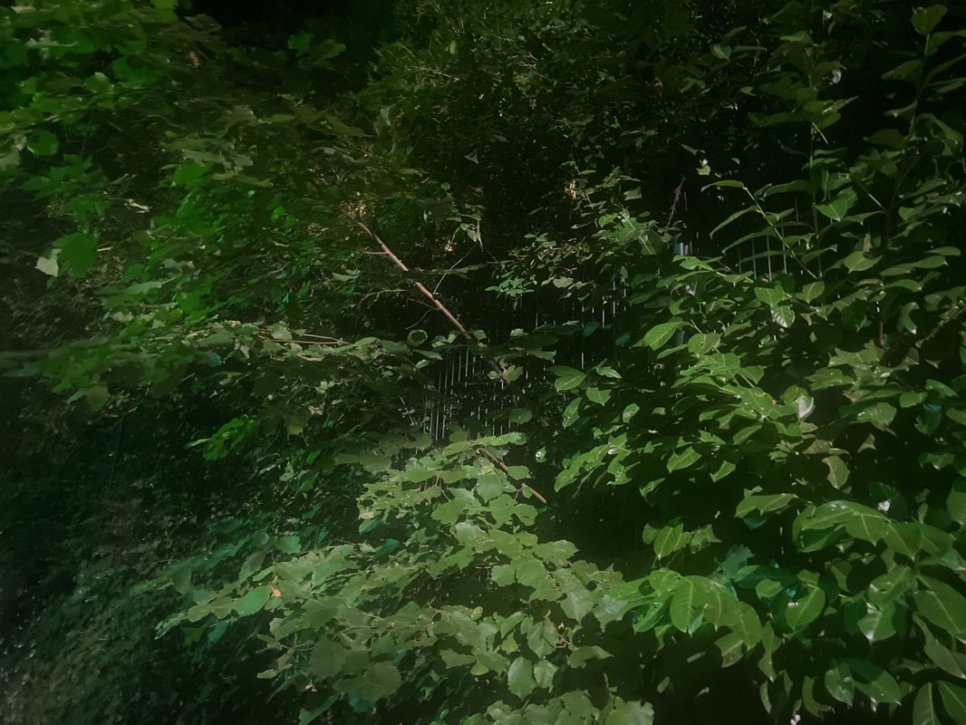 walking near me in Square Marie Bonaparte in summer