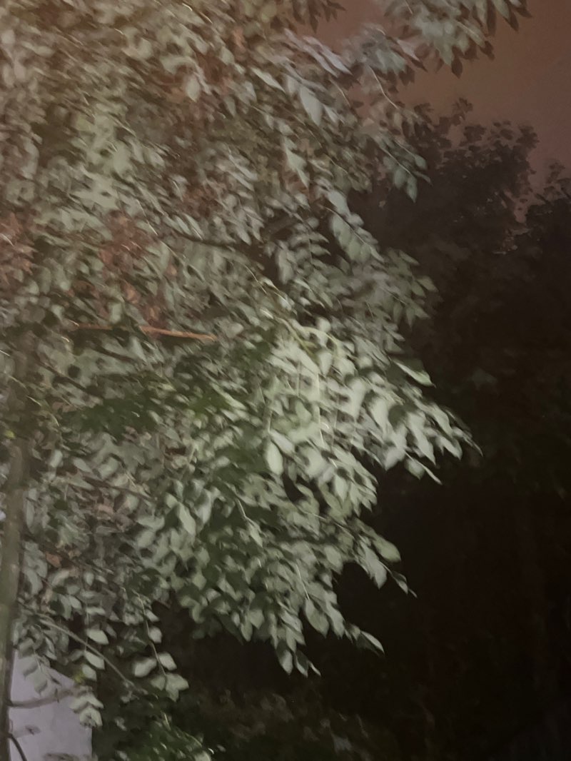 walking near me in Terrasse du Fecheray in autumn