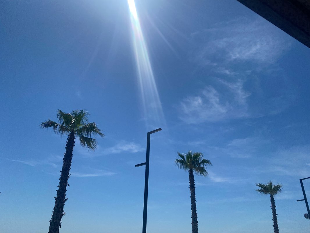 walking near me in Büyükçekmece Kordonboyu Sahil Parkı in winter