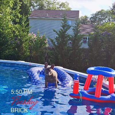 CCR Kelly post image