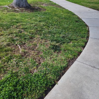 patricia velarde post 1