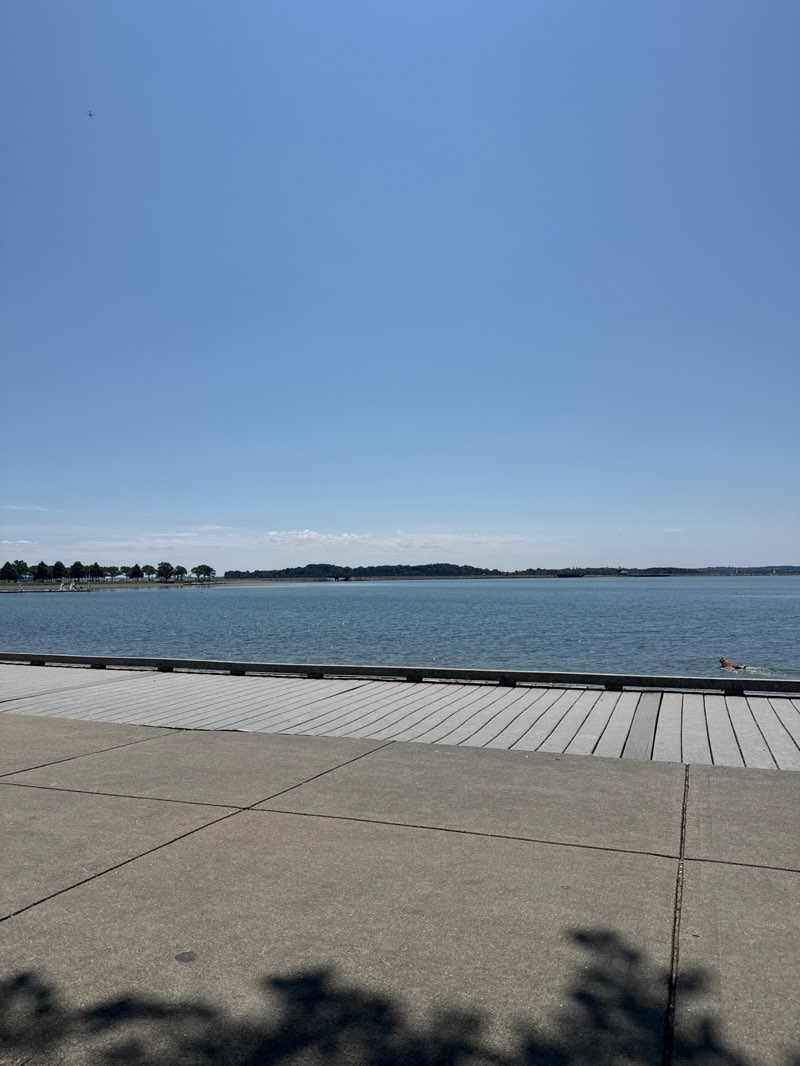 walking near me in Castle Island in summer