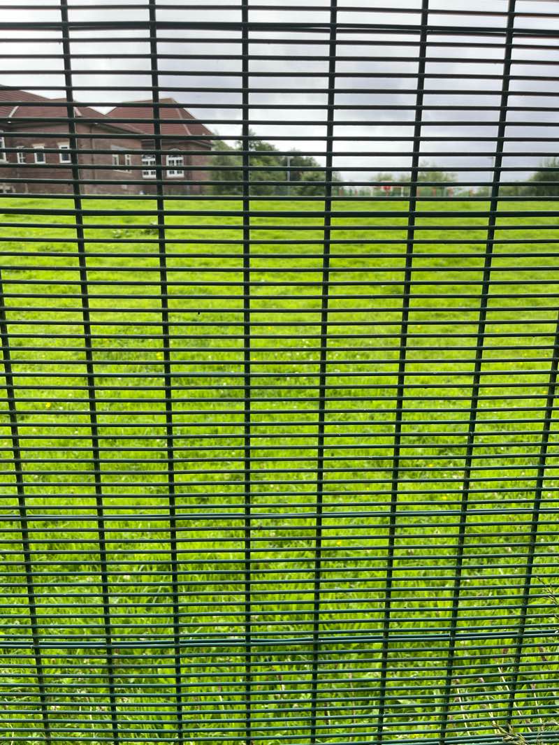 walking near me in Eaves Brook Linear Park in autumn