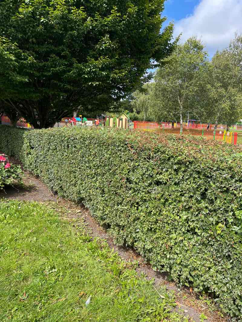 walking near me in Chapel Lane Park in autumn