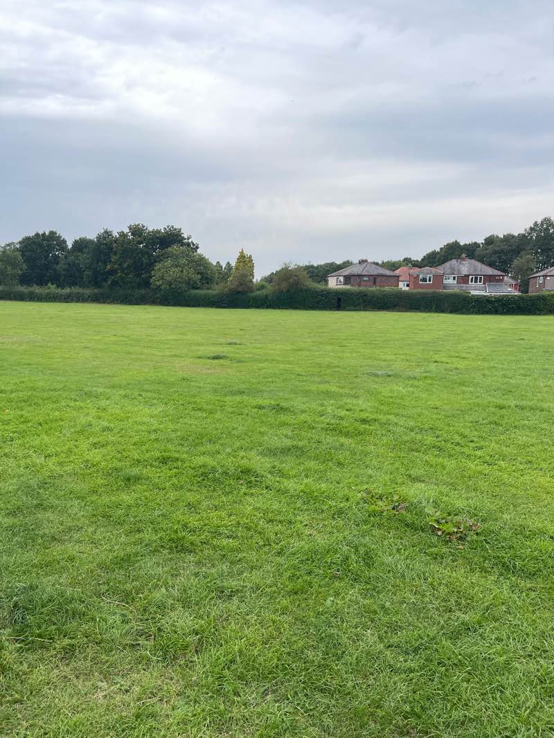 walking near me in King George V Playing Field in autumn