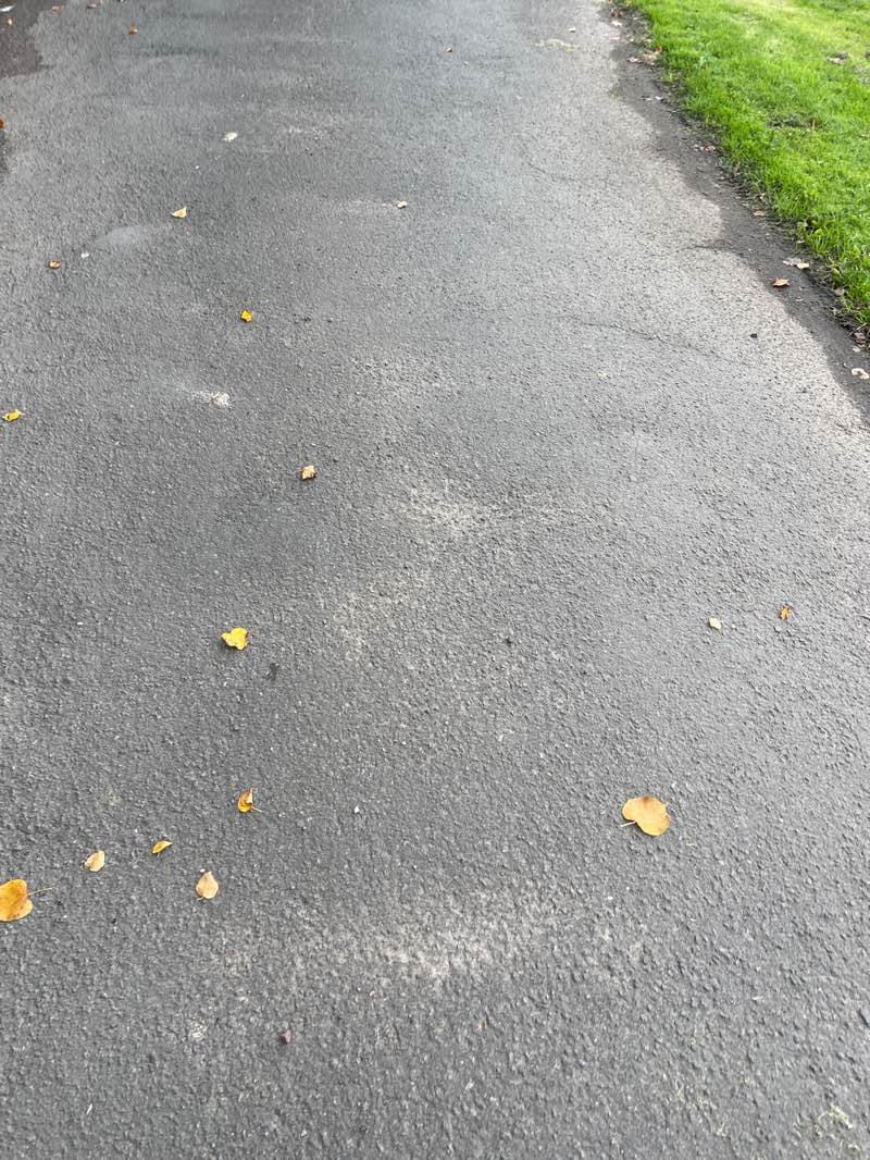 walking near me in Peter Brownlee Park in autumn