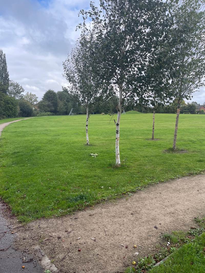 walking near me in Jubilee Park in autumn