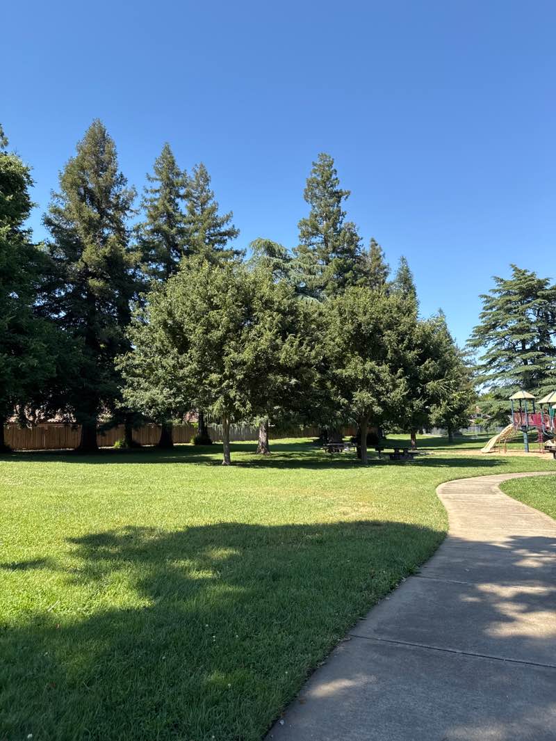 walking near me in Taylor Park in summer