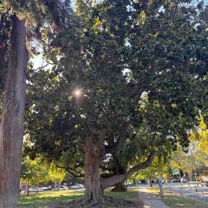 Admjay post 1
