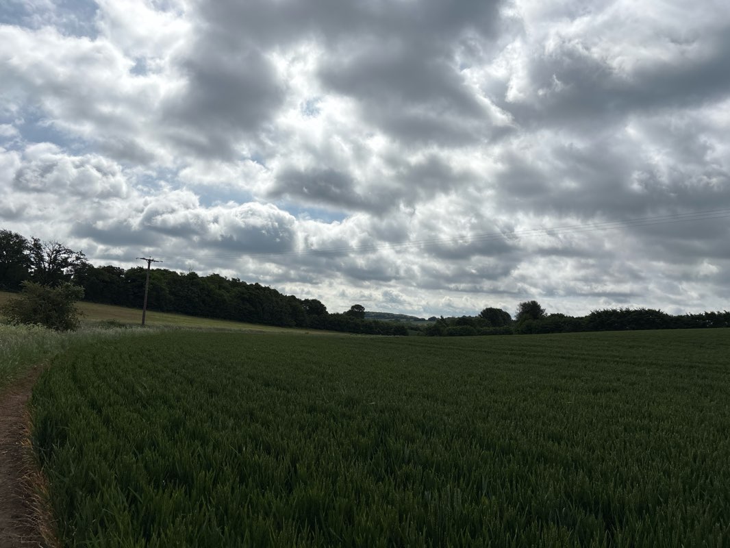 walking near me in Beacon Park in spring