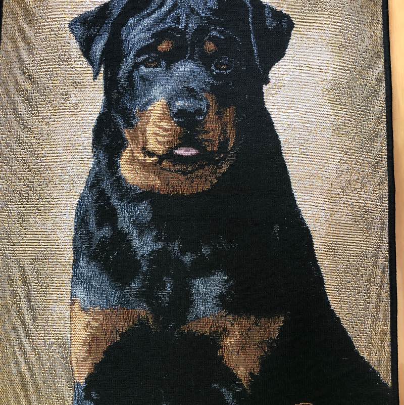 Dutch 🇺🇸 NH live free or die