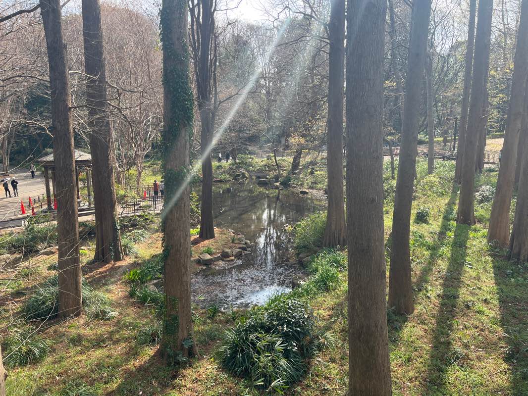 walking near me in Himonya Park in winter
