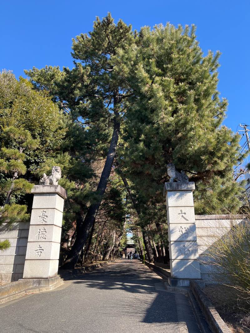 walking near me in Komaba Park in winter