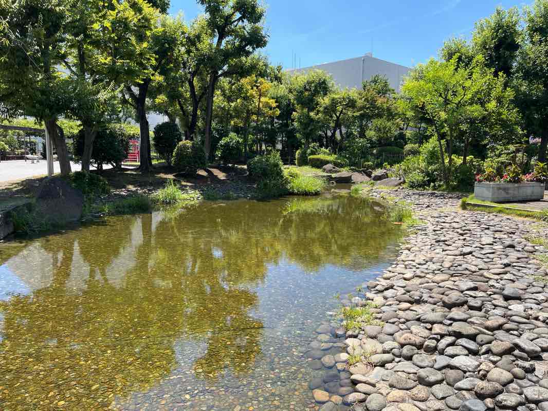 walking near me in 落合公園 in autumn