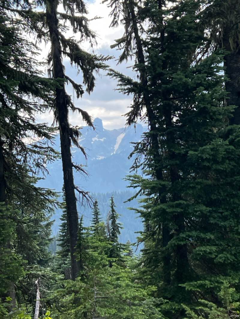 walking near me in William O. Douglas Wilderness in autumn