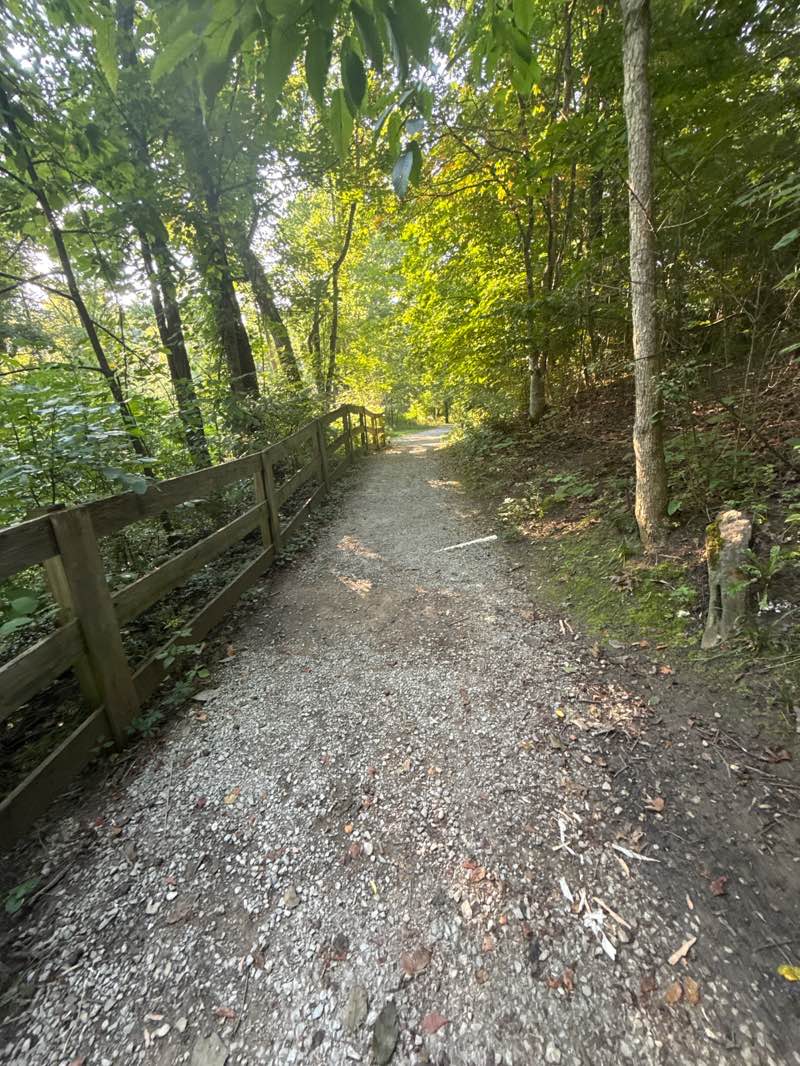 walking near me in Sycamore Park in summer