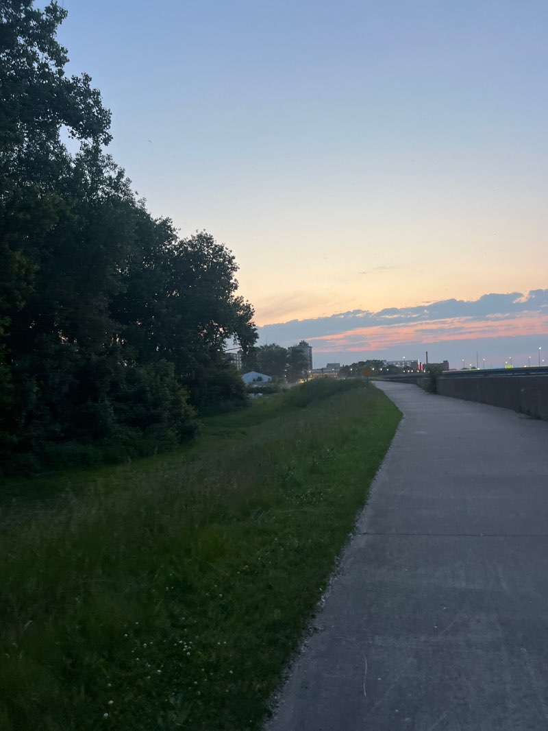 walking near me in Pioneer Park in summer