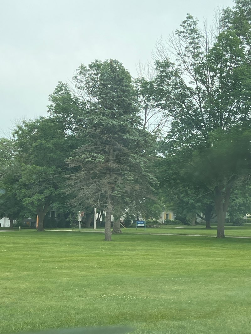 walking near me in Byrnes Park in summer