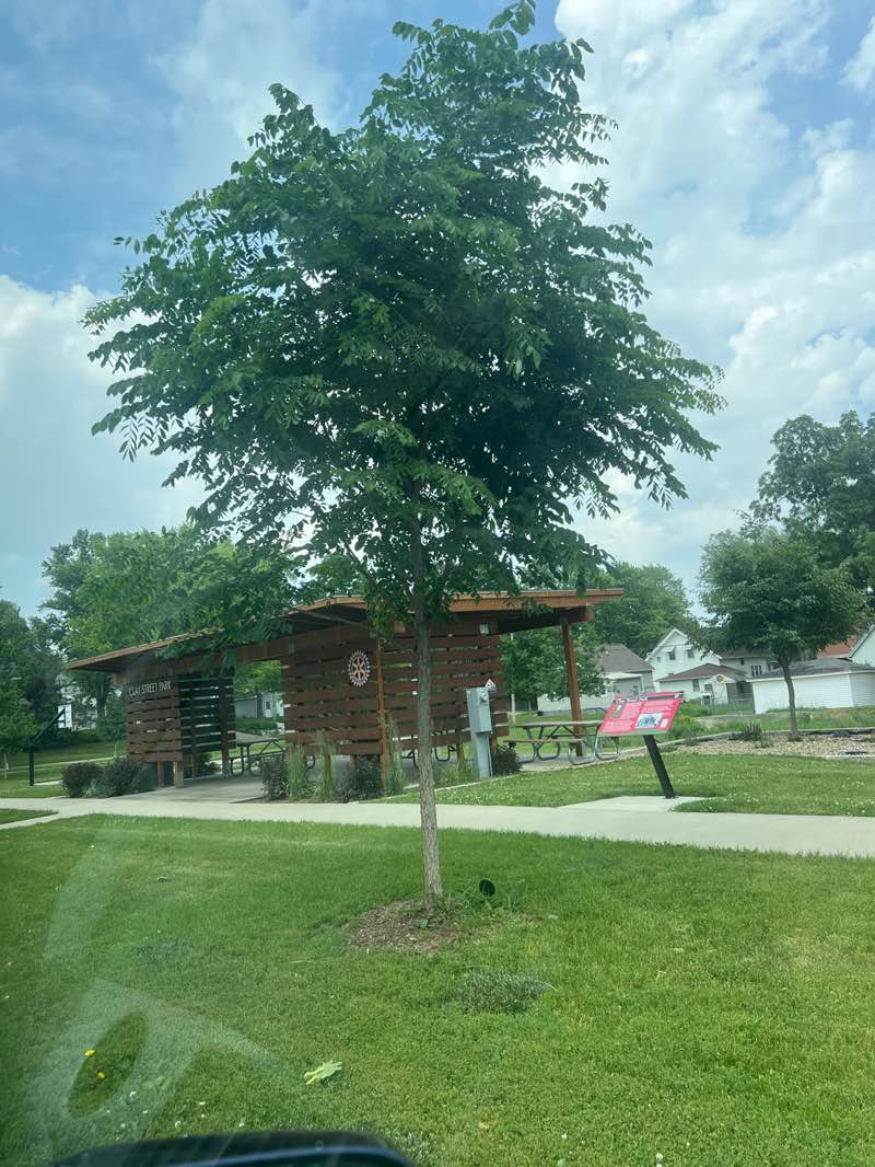 walking near me in Clay Street Park in summer
