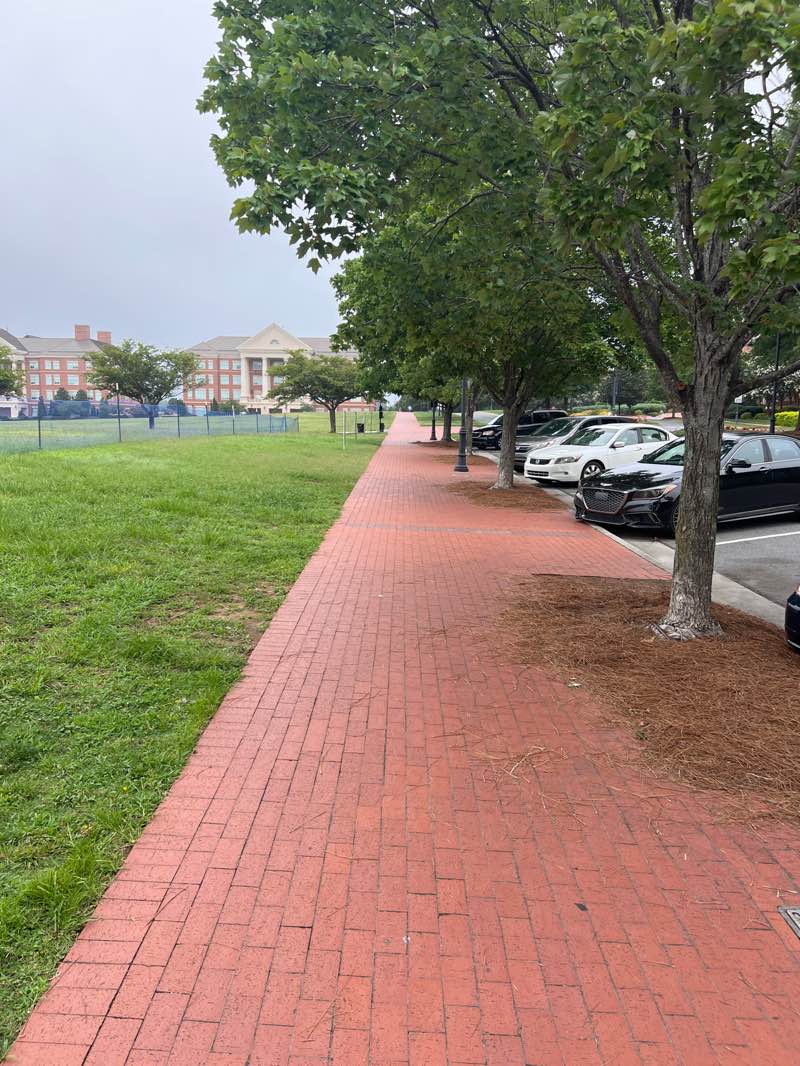 walking near me in Veterans Park in summer
