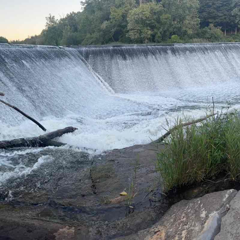 Family race Sara post image