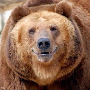 Valery 🇷🇺 profile