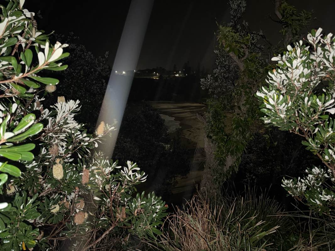 walking near me in Oxley Park in winter