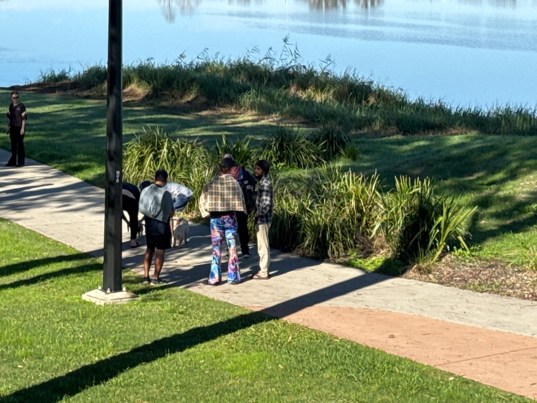 walking near me in Memorial Park in winter