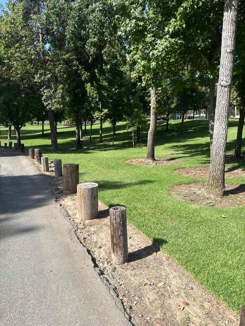 walking near me in Tri City Park in summer