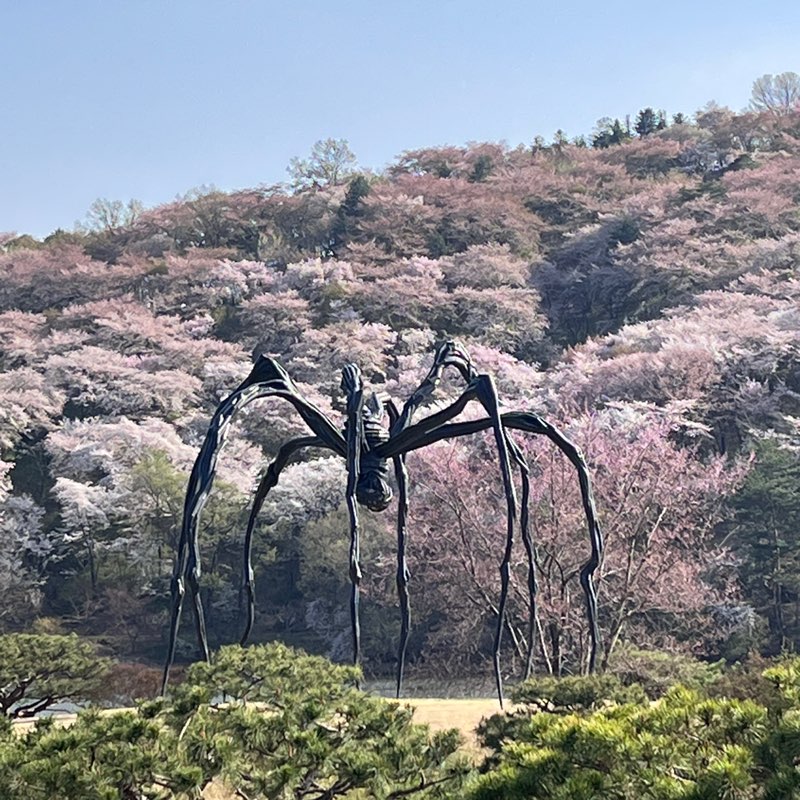 사회공헌_박소영 icon