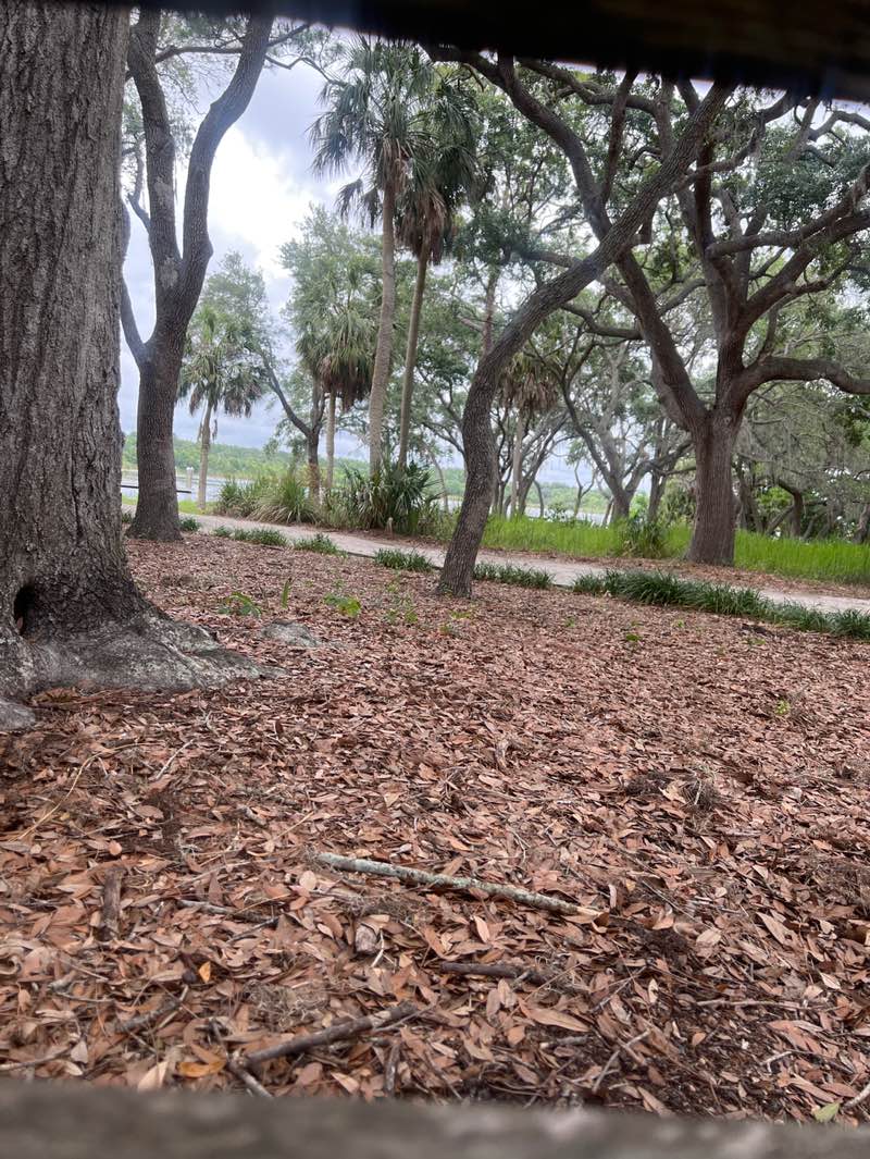 walking near me in A.L. Anderson Park in spring