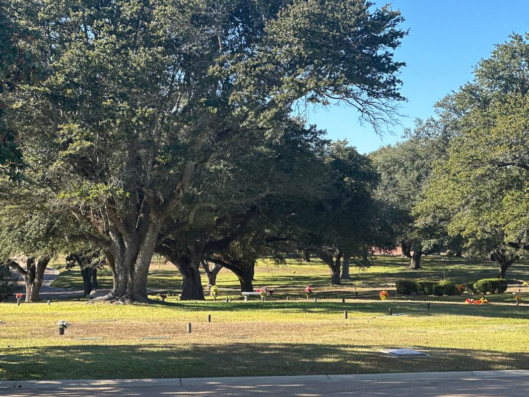 walking near me in Lakewood Memorial Park in autumn