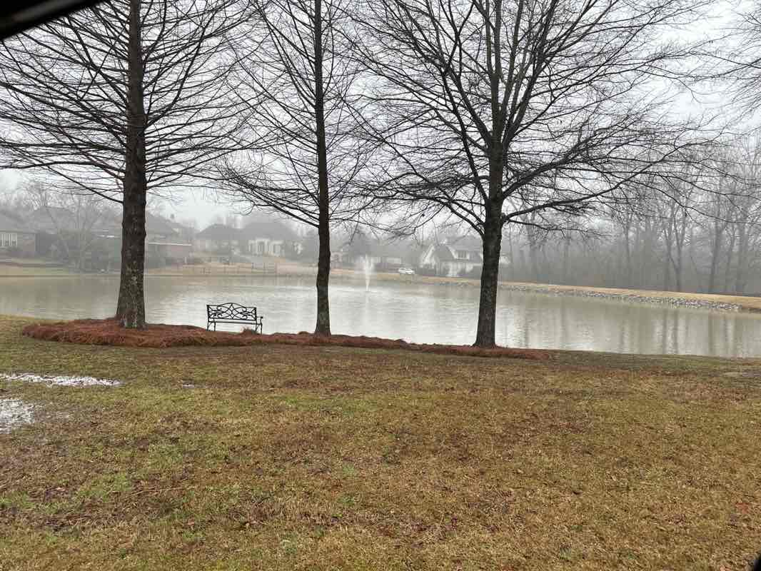 walking near me in Ashton Park Recreational Area in winter