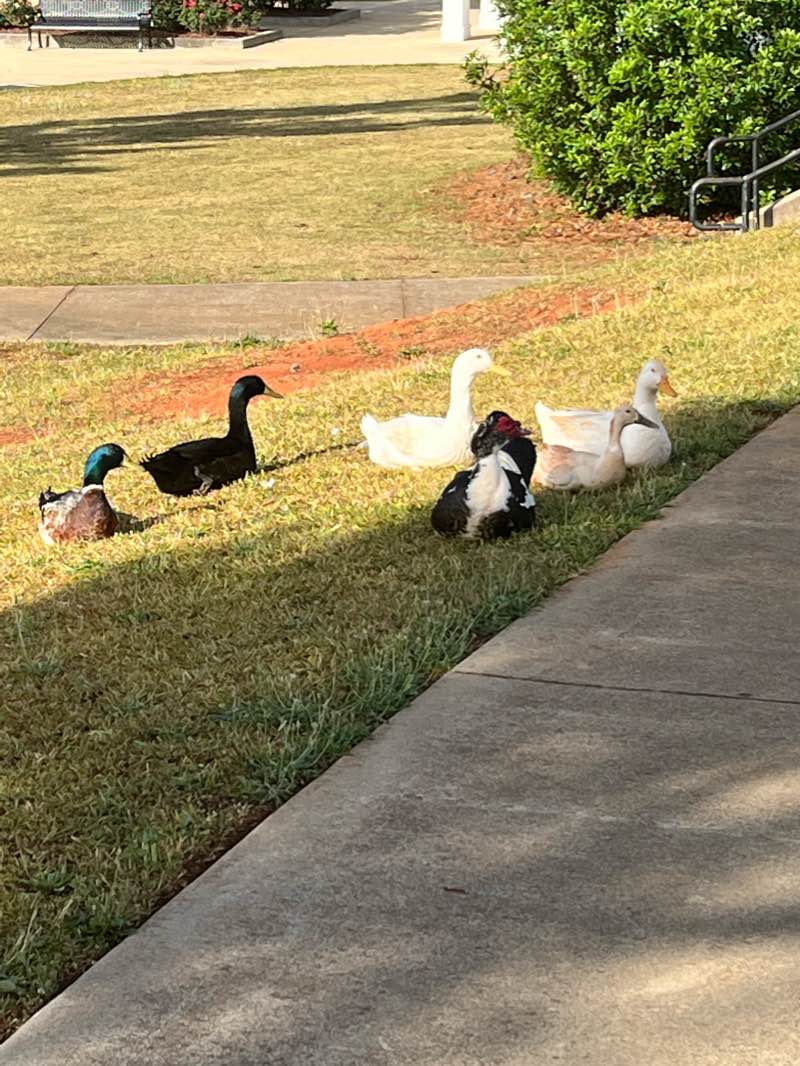 walking near me in Greatest Generation Memorial Park in winter