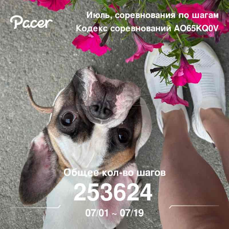 Большакова Мария post 1