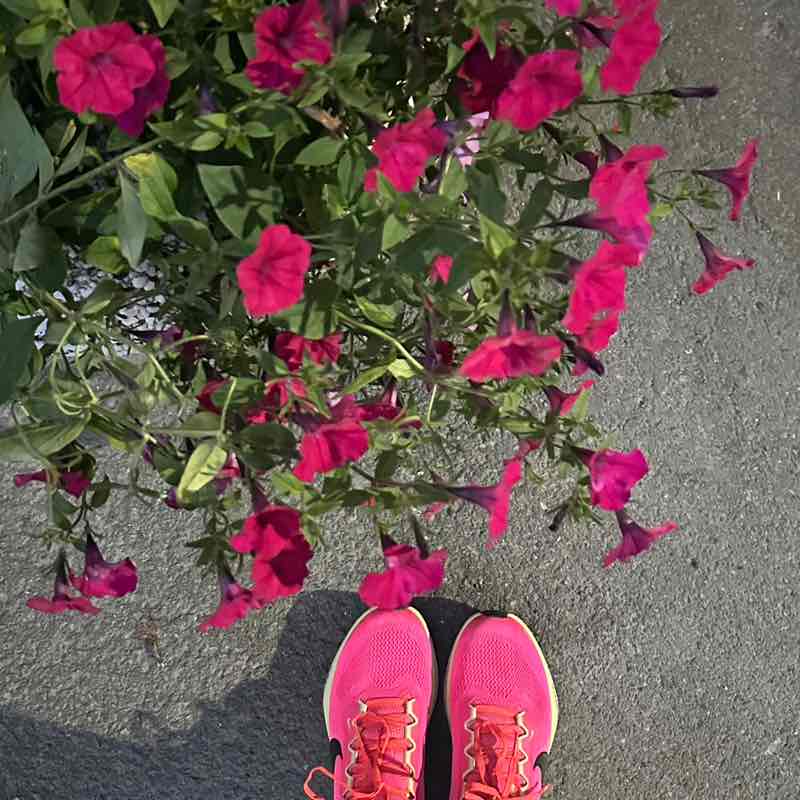 Большакова Мария post 1