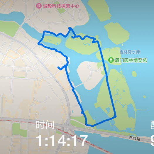 凤凰树三角梅 post 2