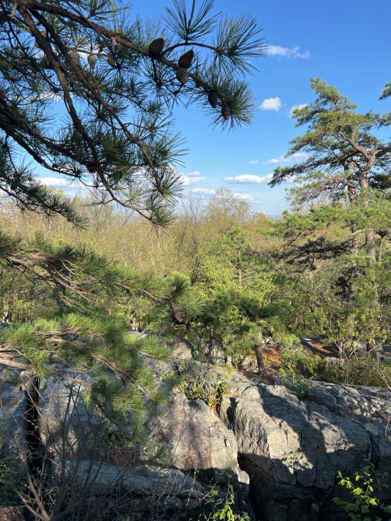 walking near me in Howard County Fairgrounds in spring